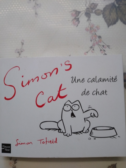 Annonce occasion, vente ou achat 'Simon\'s Cat. Une calamité de Chat'