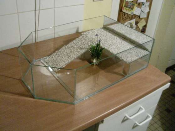 Faire Un Terrarium Pour Tortue De Terre