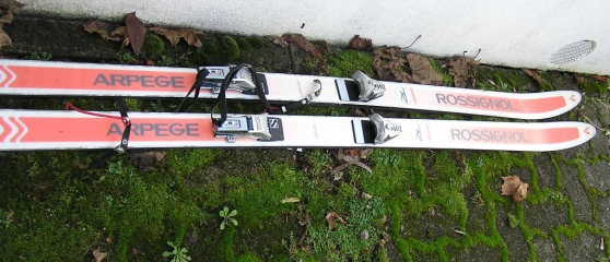 Annonce occasion, vente ou achat 'skis alpins Rossignol compact 1,78m'