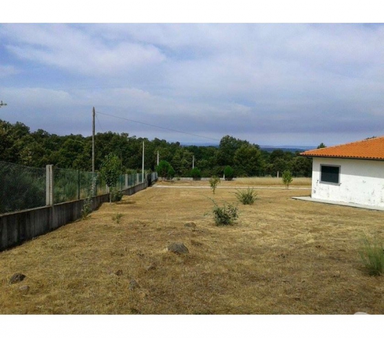 Ferme 4 hectares avec maison, Portugal