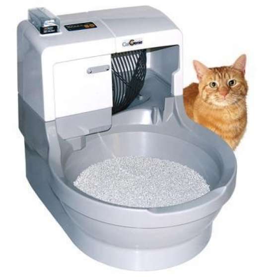 Toilette Automatique Pour Chat Avec C Marche Fr