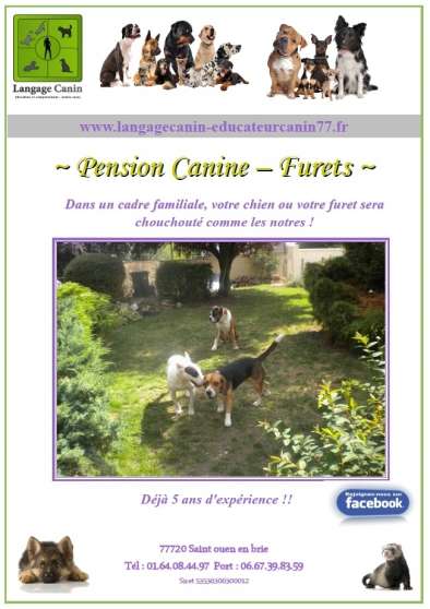 Annonce occasion, vente ou achat 'Pension Familiale chien, furet, rongeur'