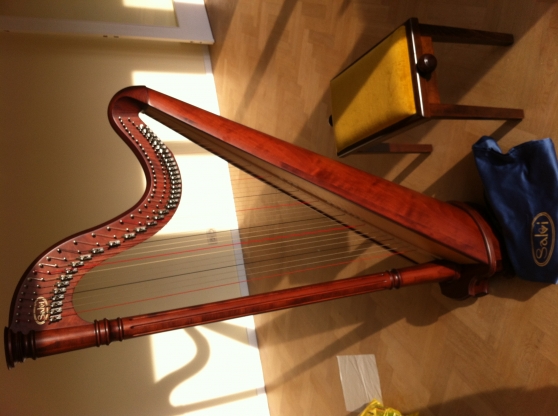 Annonce occasion, vente ou achat 'Harpe Salvi, modle Ana'