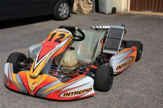 Annonce occasion, vente ou achat 'Karting Intrepid explorer 2008/X30'