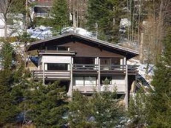 Annonce occasion, vente ou achat 'Grand CHALET'