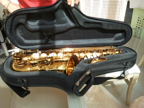 Annonce occasion, vente ou achat 'Saxophone Selmer Alto'
