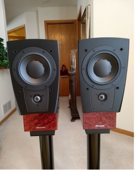 dynaudio confidence c1 platinum