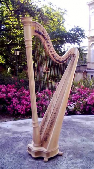 Annonce occasion, vente ou achat 'Harpe Celtique Lyon&Healy 