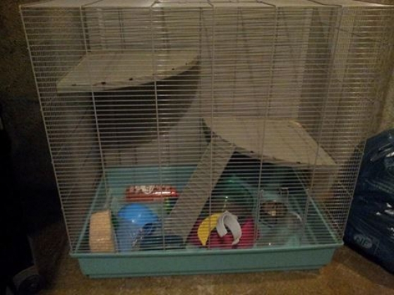 Vend cage pour rats