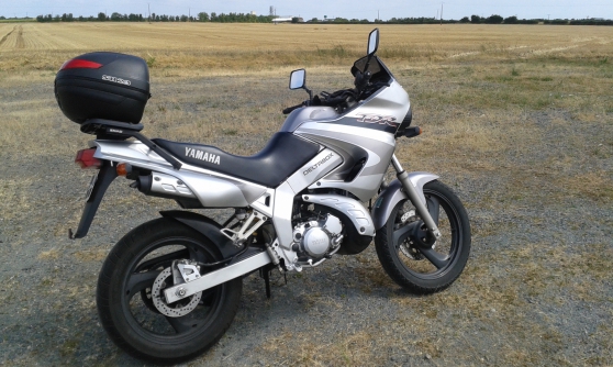 Annonce occasion, vente ou achat 'Yamaha 125 TDR'