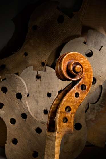 Annonce occasion, vente ou achat 'achet violon tous intsruments a cordes'