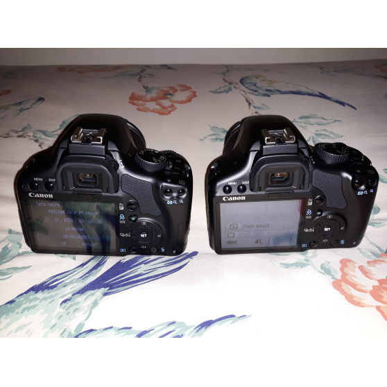 Appareils photo au choix, Canon EOS 450D - Photo 3
