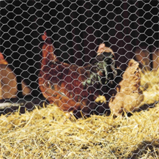 grillage à poule à prix bas