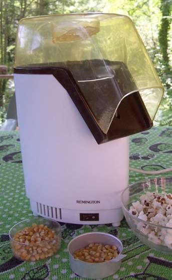 Annonce occasion, vente ou achat 'Machine  popcorn Remignton PC2000'