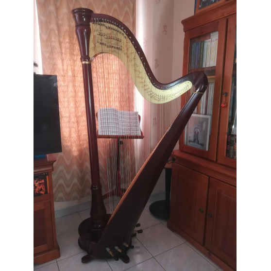 A vendre harpe Camac d\'occasion