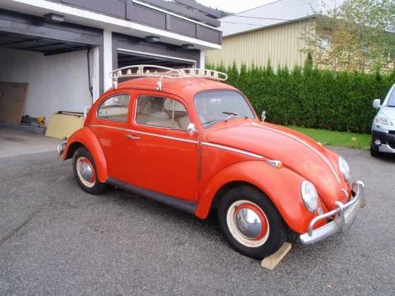 Annonce occasion, vente ou achat 'Volkswagen Boble (gml. type) 1200 1964'