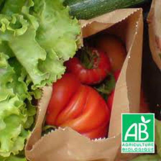 Annonce occasion, vente ou achat 'fruits et legumes biologique'