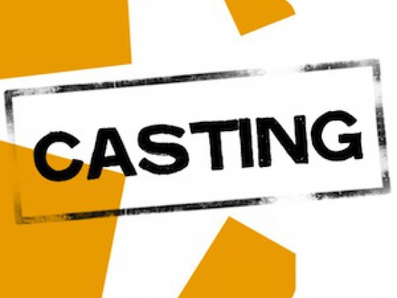Annonce occasion, vente ou achat 'Recherche acteurs pour casting'