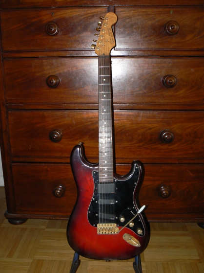 Annonce occasion, vente ou achat 'Guitare Custom type Stratocaster'