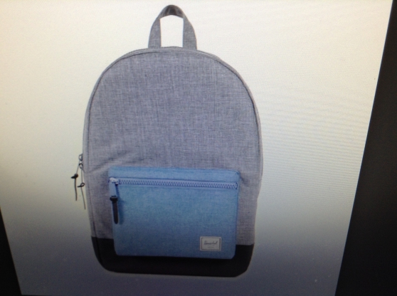 Annonce occasion, vente ou achat 'Perdu sac à dos gris avec poche bleue,'