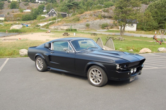 Annonce occasion, vente ou achat 'Ford Mustang Fastback 289 V8'