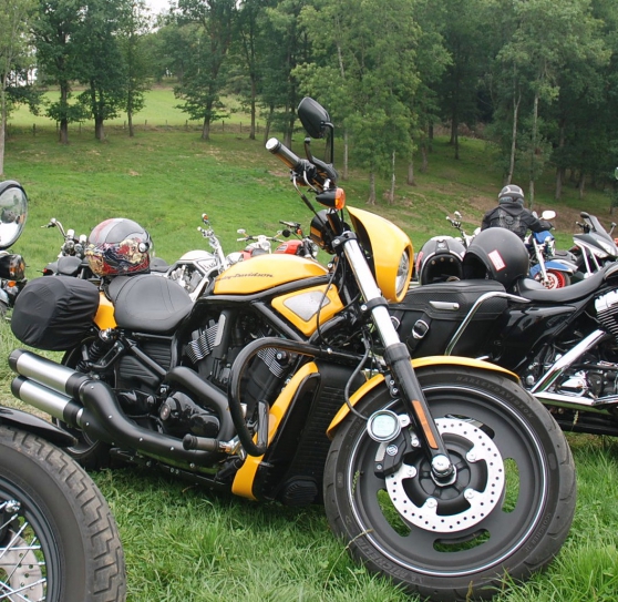 Annonce occasion, vente ou achat 'vend night rod special'