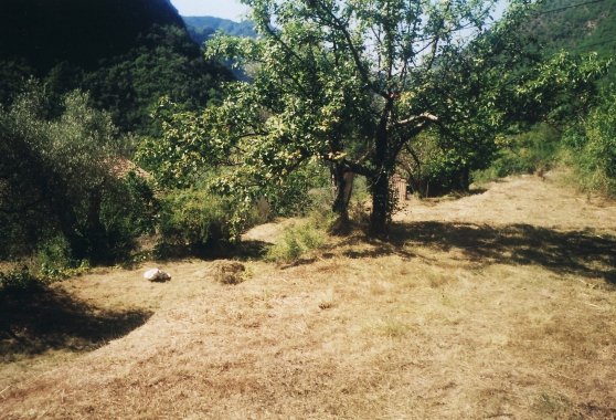 terrain avec cabanon et eau