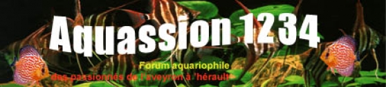 Forum aquariophile : aquapassion 1234