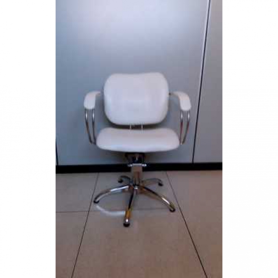 Annonce occasion, vente ou achat 'Chaise fauteuil coiffeur professionnelle'