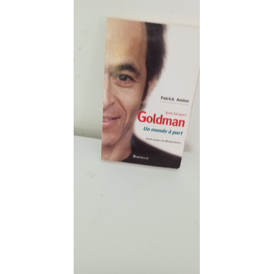 livre jean -jacques goldman