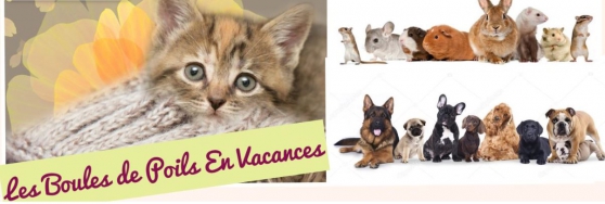 Annonce occasion, vente ou achat 'garde animaux'