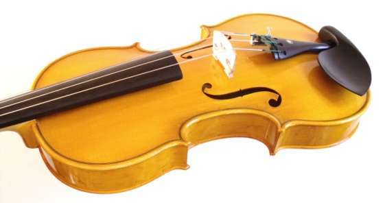 Annonce occasion, vente ou achat 'Vend superbe violon sign timbre limpide'