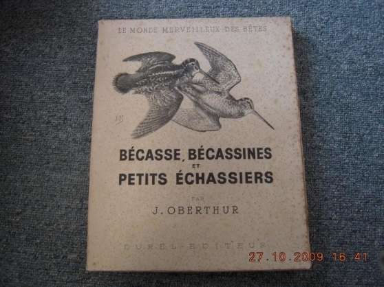 Annonce occasion, vente ou achat 'Becasse, bcassines et petits chassiers'