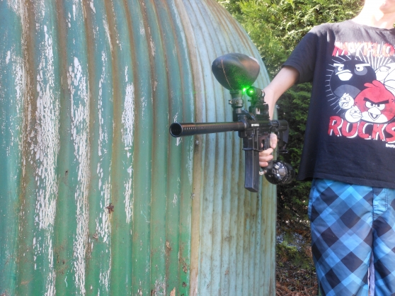 Annonce occasion, vente ou achat 'paintball bt omega'