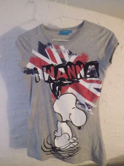 Annonce occasion, vente ou achat 'T-shirt fille gris taille S'