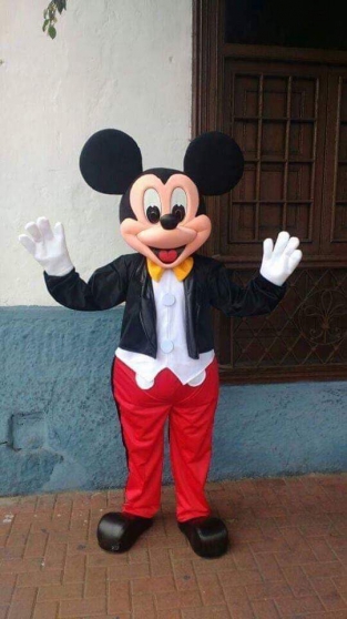 Annonce occasion, vente ou achat 'Mascottes Mickey et Minnie sur Lyon'