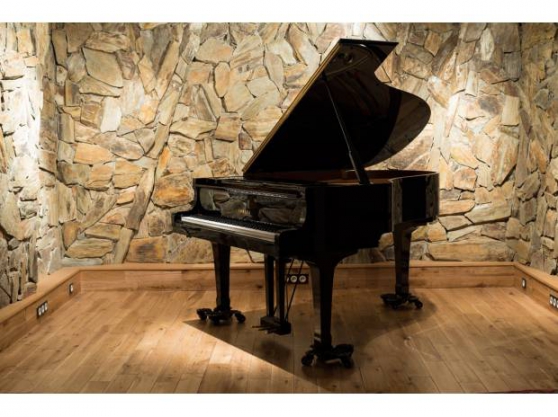 Annonce occasion, vente ou achat 'PIANO 1/4 QUART DE QUEUE YAMAHA C3 neuf'