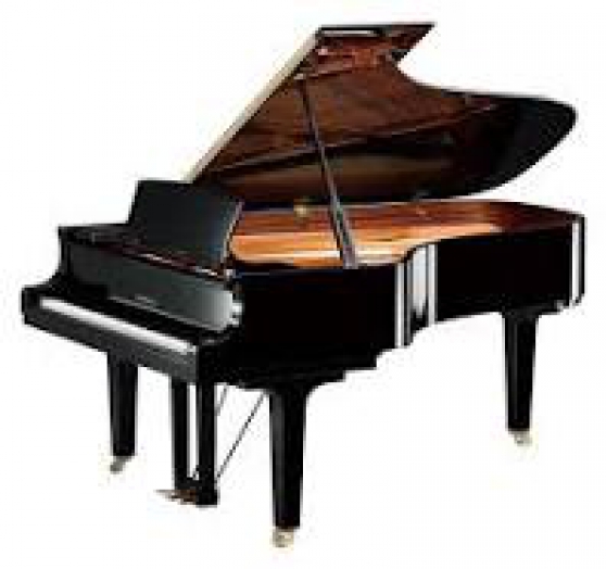Annonce occasion, vente ou achat 'donne cours de piano'