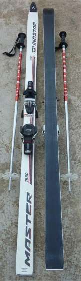 Annonce occasion, vente ou achat 'Skis alpins Dynastar 195 cm'