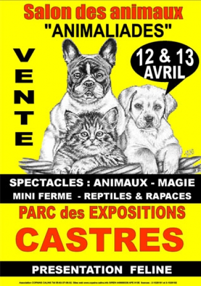 Salon Du Chiot Castres 1112 Avril Marchefr