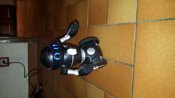 Annonce occasion, vente ou achat 'Robot MIP Wowwee'