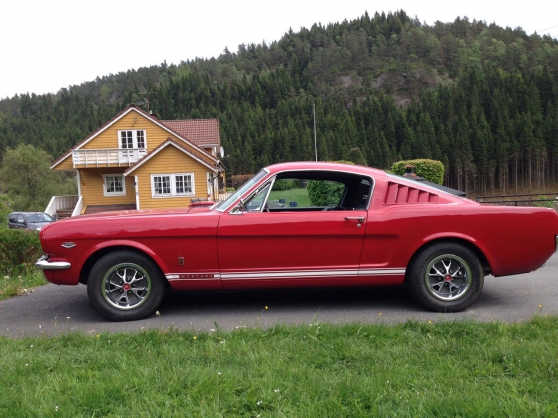 Annonce occasion, vente ou achat 'Mustang Fastback'