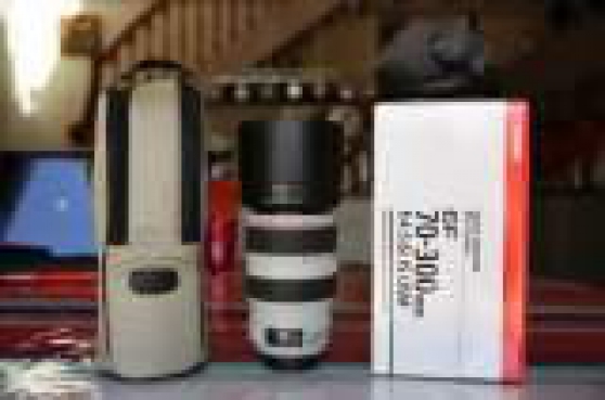 Annonce occasion, vente ou achat 'Canon EF 70-300mm f/4-5.6L IS USM tat N'
