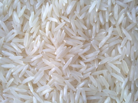 Annonce occasion, vente ou achat 'Nous cherchons un bon fournisseur de riz'