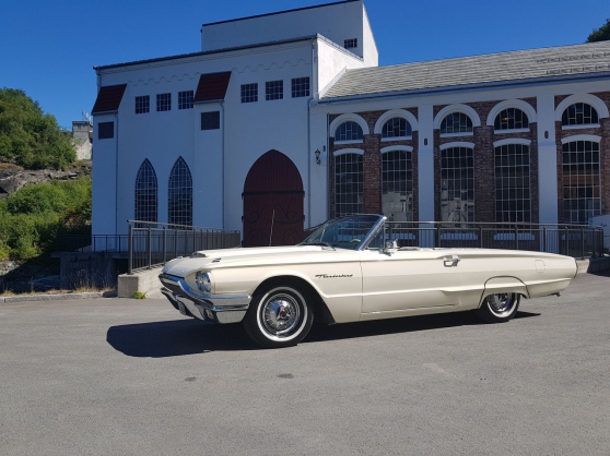 Annonce occasion, vente ou achat 'Ford Thunderbird cabriolet'