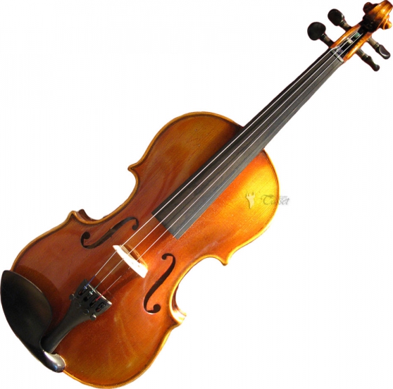 Cours de violon gratuit