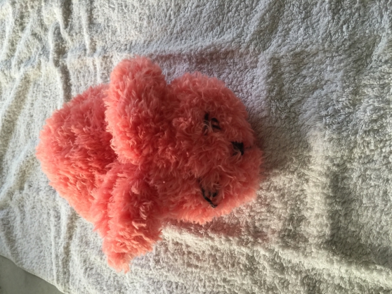 Annonce occasion, vente ou achat 'lapin fourrure rose trs doudou tricot'
