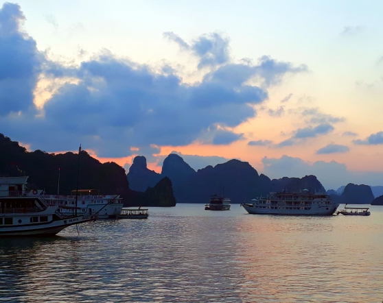 Annonce occasion, vente ou achat 'Voyages au Vietnam, Laos, Cambodge et Birmanie'