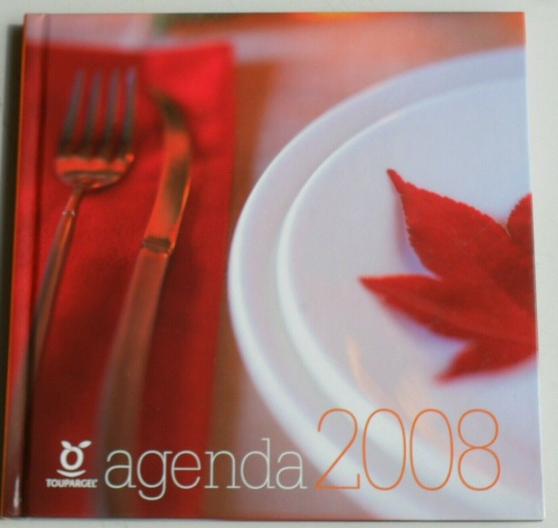 Annonce occasion, vente ou achat 'agenda 2008 etat d\'usage.'