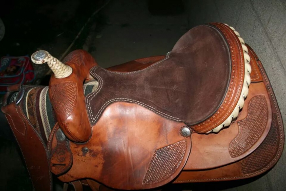 Selle Continental saddlery